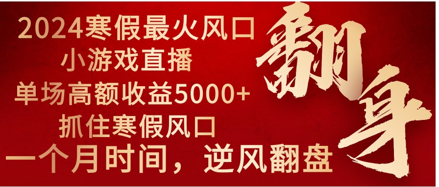 2024年最火寒假风口项目 小游戏直播 单场收益5000+抓住风口 一个月直接提车-柚子资源网