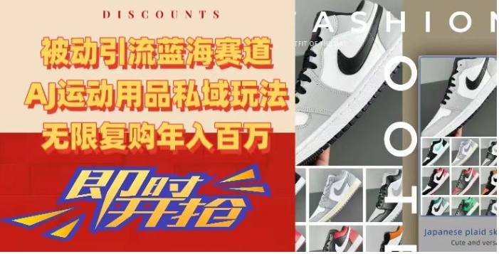 被动引流蓝海赛道，AJ运动用品私域玩法，无限复购年入百万【揭秘】-柚子资源网