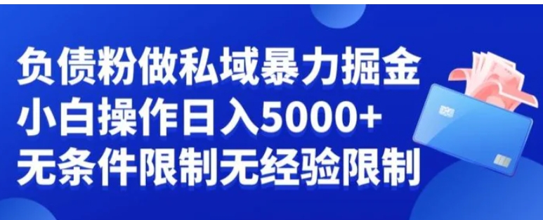 负债粉私域暴力掘金，小白操作入5000，无经验限制，无条件限制【揭秘】-柚子资源网
