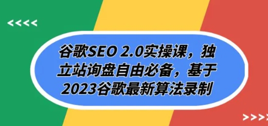 谷歌SEO 2.0实操课，独立站询盘自由必备，基于2023谷歌最新算法录制（94节-柚子资源网