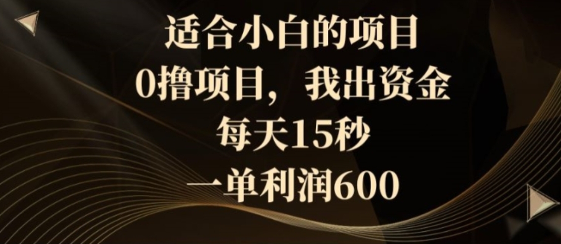 适合小白的项目，0撸项目，我出资金，每天15秒，一单利润600-柚子资源网
