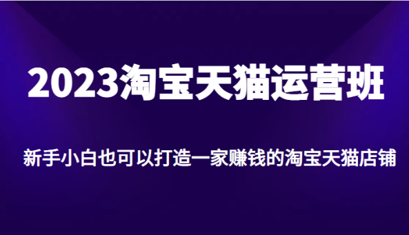 2023淘宝天猫运营班，新手小白也可以打造一家赚钱的淘宝天猫店铺-柚子资源网