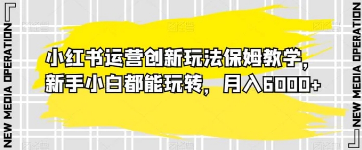 小红书运营创新玩法保姆教学，新手小白都能玩转，月入6000+【揭秘】-柚子资源网