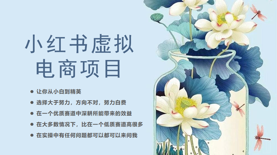 小红书虚拟电商从0到1小白到精英-柚子资源网