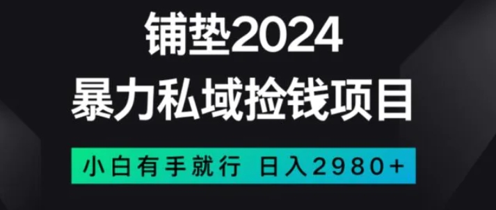 暴力私域捡钱项目，小白无脑操作，日入2980【揭秘】-柚子资源网