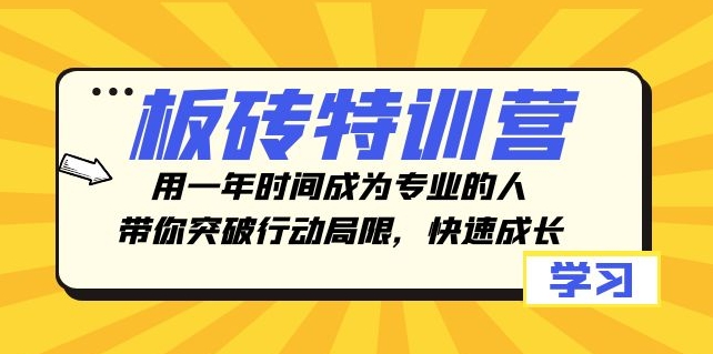 板砖特训营，用一年时间成为专业的人，带你突破行动局限，快速成长-柚子资源网