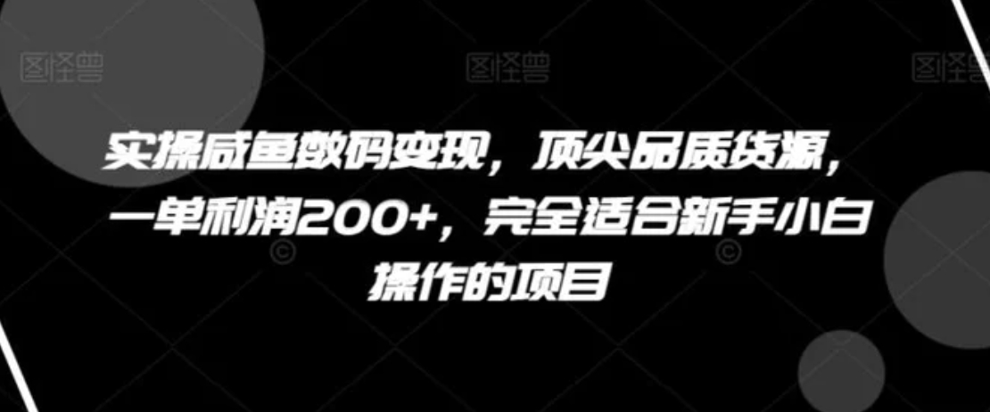 实操咸鱼数码变现，顶尖品质货源，一单利润200+，完全适合新手小白操作的项目【揭秘】-柚子资源网