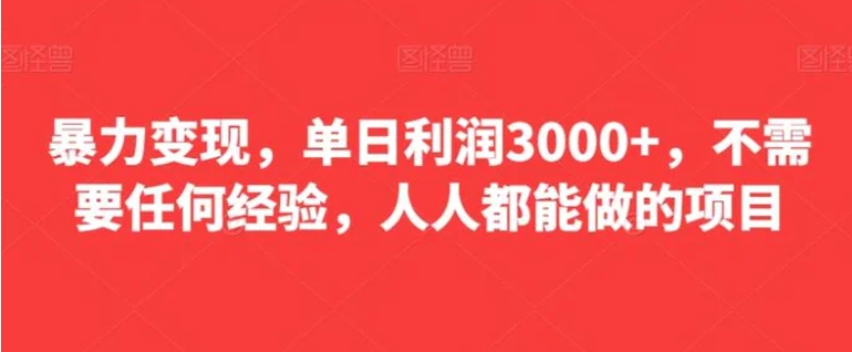 暴力变现，单日利润3000+，不需要任何经验，人人都能做的项目-柚子资源网