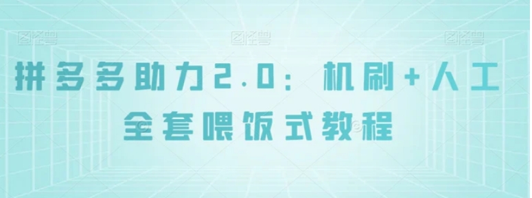 拼多多助力2.0：机刷+人工全套喂饭式教程【揭秘】-柚子资源网