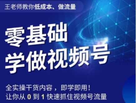 王老师教你低成本、做流量，零基础学做视频号，0-1快速抓住视频号流量-柚子资源网