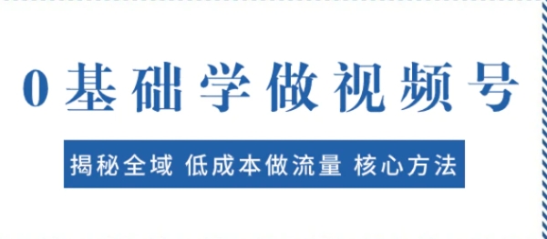 0基础学做视频号：揭秘全域 低成本做流量 核心方法 快速出爆款 轻松变现-柚子资源网