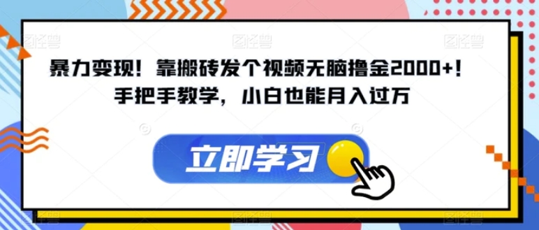 暴力变现！靠搬砖发个视频无脑撸金2000+！手把手教学，小白也能月入过万【揭秘】-柚子资源网