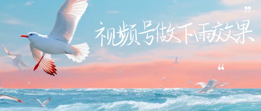 视频号做下雨视频，一个账号一周涨粉10W+，日入1000+附保姆级教程-柚子资源网