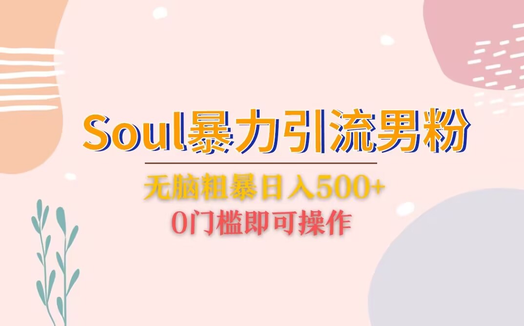 Soul暴力引流男粉玩法，无脑粗暴日入500＋，0门槛即可操作-柚子资源网