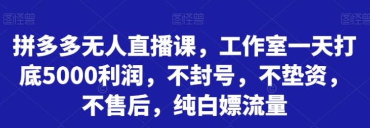 拼多多无人直播课，工作室一天打底5000利润，不封号，不垫资，不售后，纯白嫖流量-柚子资源网