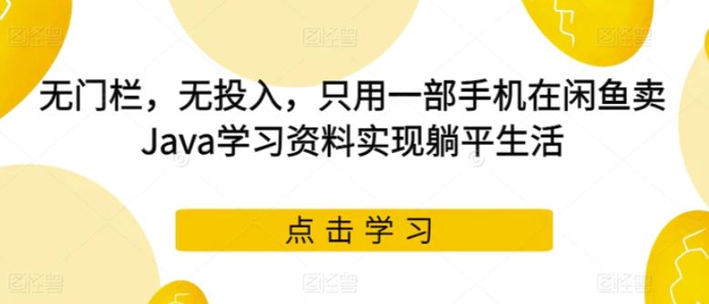 无门栏，无投入，只用一部手机在闲鱼卖Java学习资料实现躺平生活【揭秘】-柚子资源网