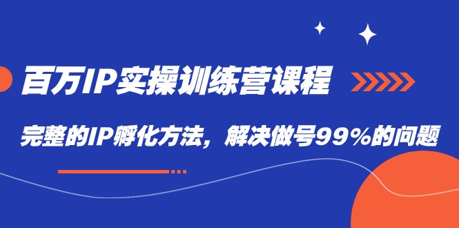 百万IP实战训练营课程，完整的IP孵化方法，解决做号99%的问题-柚子资源网