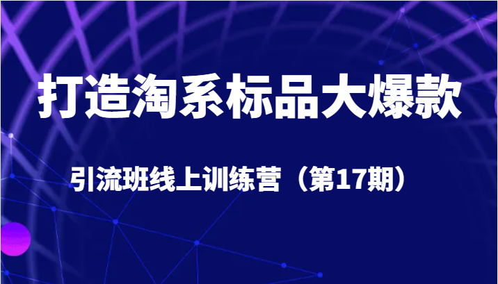 打造淘系标品大爆款引流班线上训练营5天直播授课+1个月答疑-柚子资源网