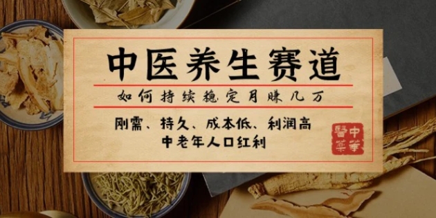 公众号付费文章：中医养生赛道，如何持续稳定月赚几万-柚子资源网