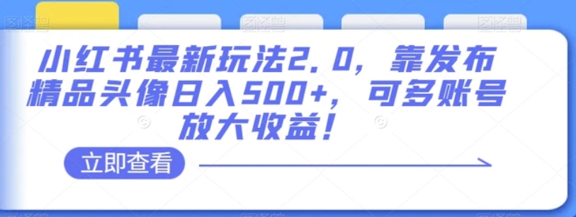 小红书最新玩法2.0，靠发布精品头像日入500+，可多账号放大收益！【揭秘】-柚子资源网