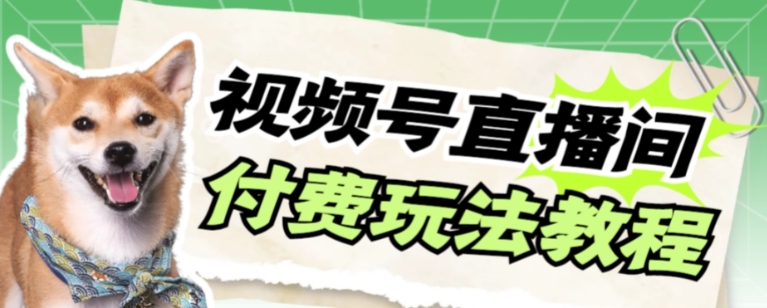 视频号美女付费无人直播，轻松日入500+【详细玩法教程】-柚子资源网