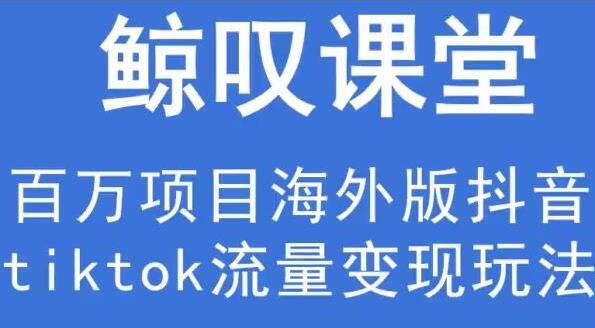 鲸叹号《海外TIKTOK训练营》百万项目海外版抖音tiktok流量变现玩法-柚子资源网