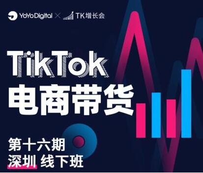 《TikTok电商带货》线下班第十六期，从0到1带货出单-柚子资源网