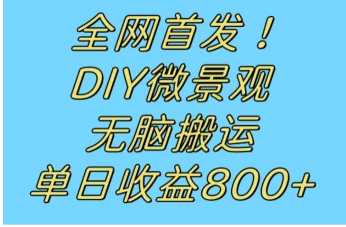 全网首发冷门赛道！DIY微景观，无脑搬运视频，日收益800+【揭秘】-柚子资源网