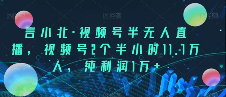 言小北·视频号半无人直播，视频号2个半小时11.7万人，纯利润1万+-柚子资源网