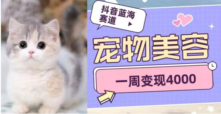 抖音蓝海赛道，宠物美容，一周变现4000-柚子资源网