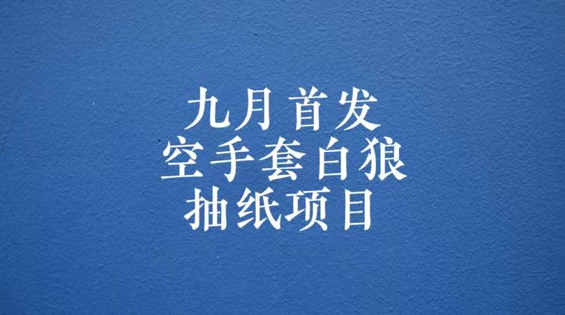 0成本，日入100-500空手套白狼抽纸项目，保姆级教学-柚子资源网