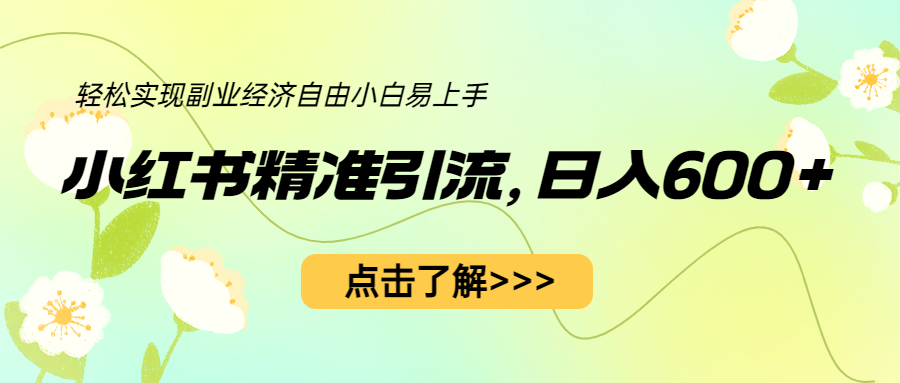 小红书精准引流，小白日入600+，轻松实现副业经济自由-柚子资源网