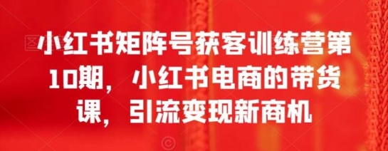 小红书矩阵号获客训练营第10期，小红书电商的带货课，引流变现新商机-柚子资源网