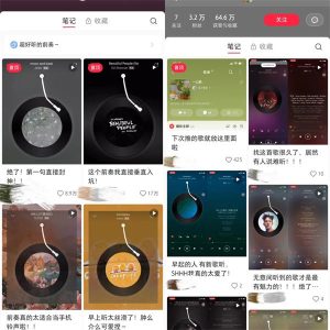 小红书音乐号快速涨粉，每天操作20分钟月入过万-柚子资源网