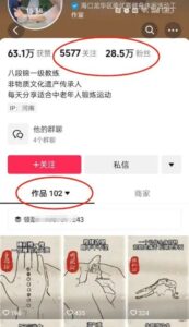 中老年副业项目，流量蓝海项目，视频制作简单，收益高！-柚子资源网