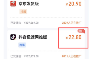 爆火的63页PPT副业！教你如何利用热点变现思路-柚子资源网