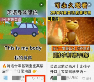 视频号搬砖案例拆解，英语动画视频搬运项目，快速起号-柚子资源网