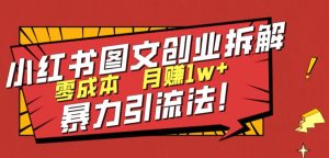 小红书图文创业拆解，暴力引流法，零成本月入1w+【揭秘】-柚子资源网