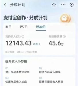 支付宝短视频平台搬运赚钱攻略，1万播放300+，属实夸张？搬运即可！-柚子资源网