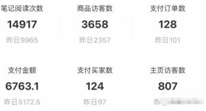 90后互联网创业者分享小红薯电商玩法，如何入局、操作、分一杯羹-柚子资源网