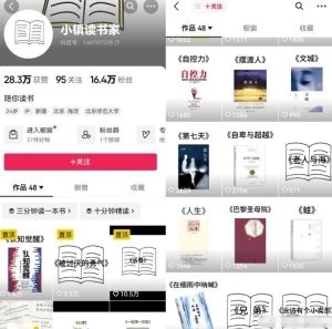 利用AI矩阵操作短视频书单号，轻松搞定涨粉+变现，玩法分享-柚子资源网