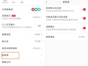 小红薯群禁言副业项目思路，利用信息差零成本月入过万-柚子资源网