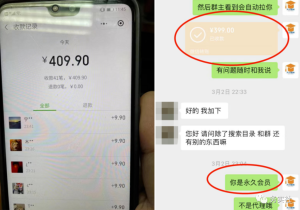 新手也能轻松入门！知识付费项目分享，百度SEO截流引流变现攻略-柚子资源网