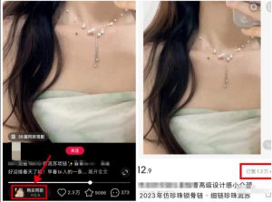 新风口项目：小红书无货源，单品卖货月入7W+！-柚子资源网