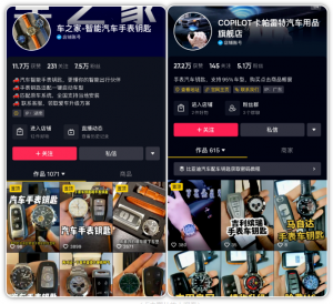 如何做汽车手表钥匙项目赚大钱？市场前景与利润详解！-柚子资源网
