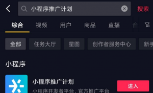非常适合新手小白的抖音小程序推广项目，一个作品赚1W+！-柚子资源网