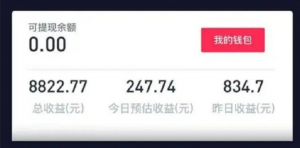 简简单单，也能日入300+的小项目-柚子资源网