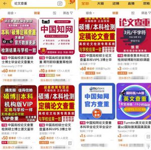 刚需市场“论文查重”副业思路，掌握方法轻松月入过万，玩法无私分享给你-柚子资源网