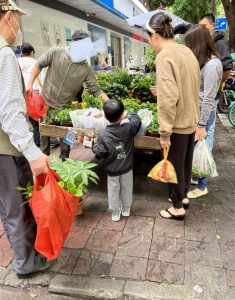 致富第一步，摆摊卖花卉绿植盆栽生意火-柚子资源网