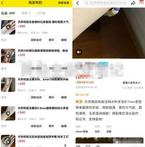 2023年闲鱼5步攻略，一周时间轻松突破10万+，思路玩法分享给你-柚子资源网